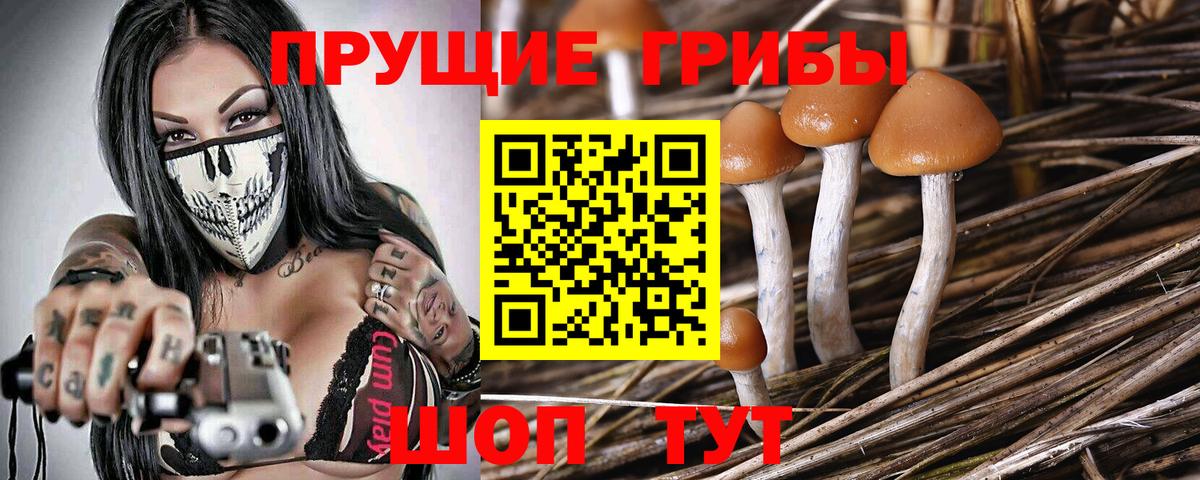 Галлюциногенные грибы Psilocybe  Галлюциногенные грибы Magic Shrooms  Вход с VPN  Димитровград 